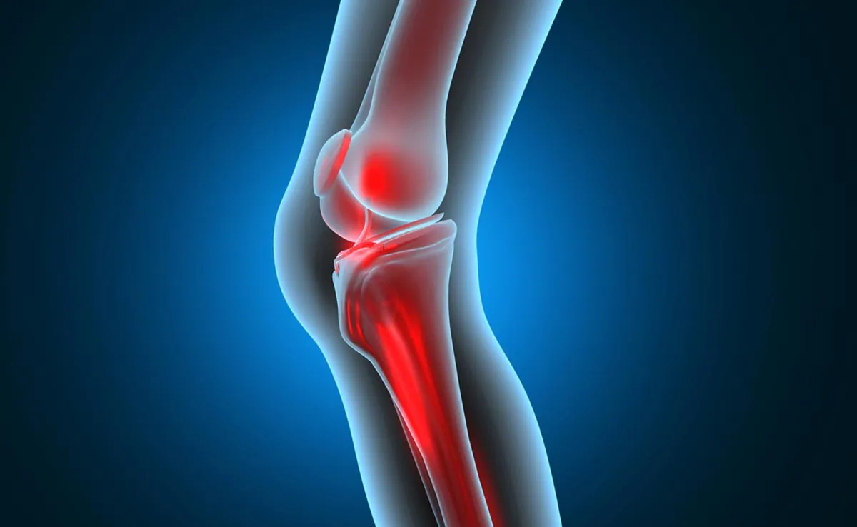 Bone TB / Infection